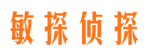 红旗市私家侦探